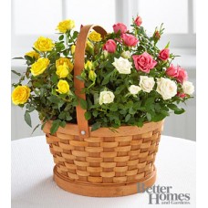 Rose Garden Basket