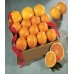 Best Navel Oranges