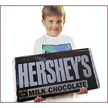 Hershey's Milk Chocolate Giant Bar 