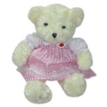 Bear with Pink Checkered Dress