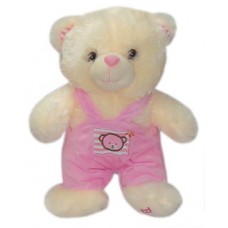 Bear with Pink Colored Jumper