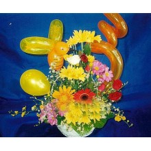Assorted daisies with balloons 