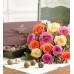 1 dozen Multicolored Roses Bouquet with chocolates