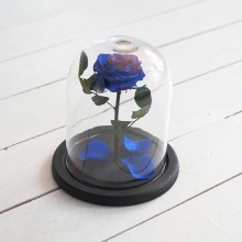 FOREVER BLUE ROSE IN GLASS DOME