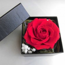FOREVER RED ROSE IN A BOX