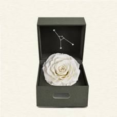FOREVER WHITE ROSE IN A BOX
