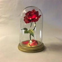 SINGLE RED ROSE IN GLASS DOME