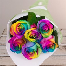 Rainbow Rose 6pcs