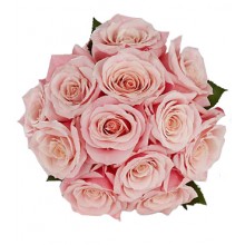 12 Pink Rose Bouquet 
