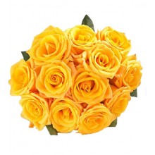 12 Yellow Rose Bouquet 