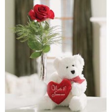 A Single Rose With Bear