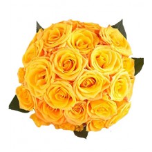 24 Yellow Rose Bouquet 