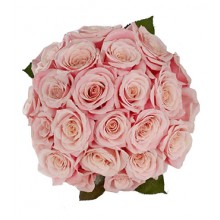 24 Pink Rose Bouquet 