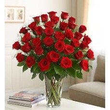 Three Dozen Premium Red Roses in Vase