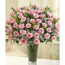 48 Long Stem Light Pink Roses