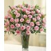 48 Long Stem Light Pink Roses