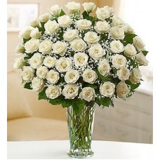 48 Long Stem white Roses