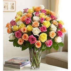 Four Dozen Premium Assorted Roses in Vase