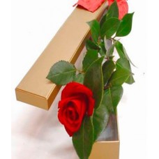 One Red Rose in a Box