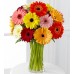 Colorful  Gerbera Daisy- 15 Stems