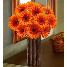 Orange Gerbera Daisy Bouquet