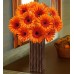 Orange Gerbera Daisy Bouquet