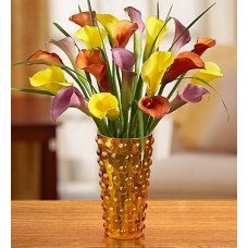 Autumn Elegance Calla Lilies