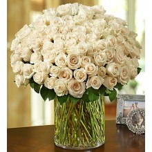 100 Premium White Roses 