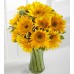 Endless Summer Sunflower -12 Stems