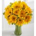 Endless Summer Sunflower -15 Stems