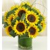 Sun-Sational Sunflowers-12 Stems