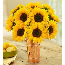 12 Stems Sunflower  Bouquet
