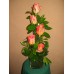 Five Orange roses flower arrangement