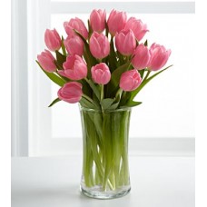 Pink Prelude Tulip Bouquet - 12 Stems 