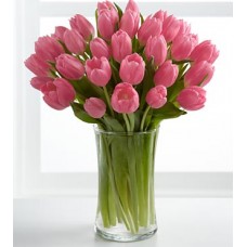 Pink Prelude Tulip Bouquet - 24 Stems 